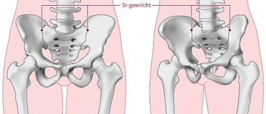 SI-gewrichten en wervelkolom – illustratie